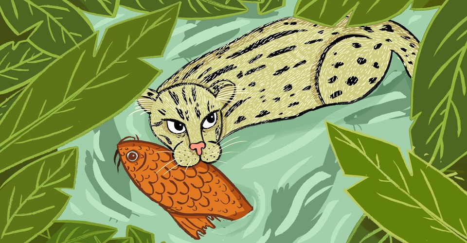 Are Cities Making Animals Smarter The Atlantic