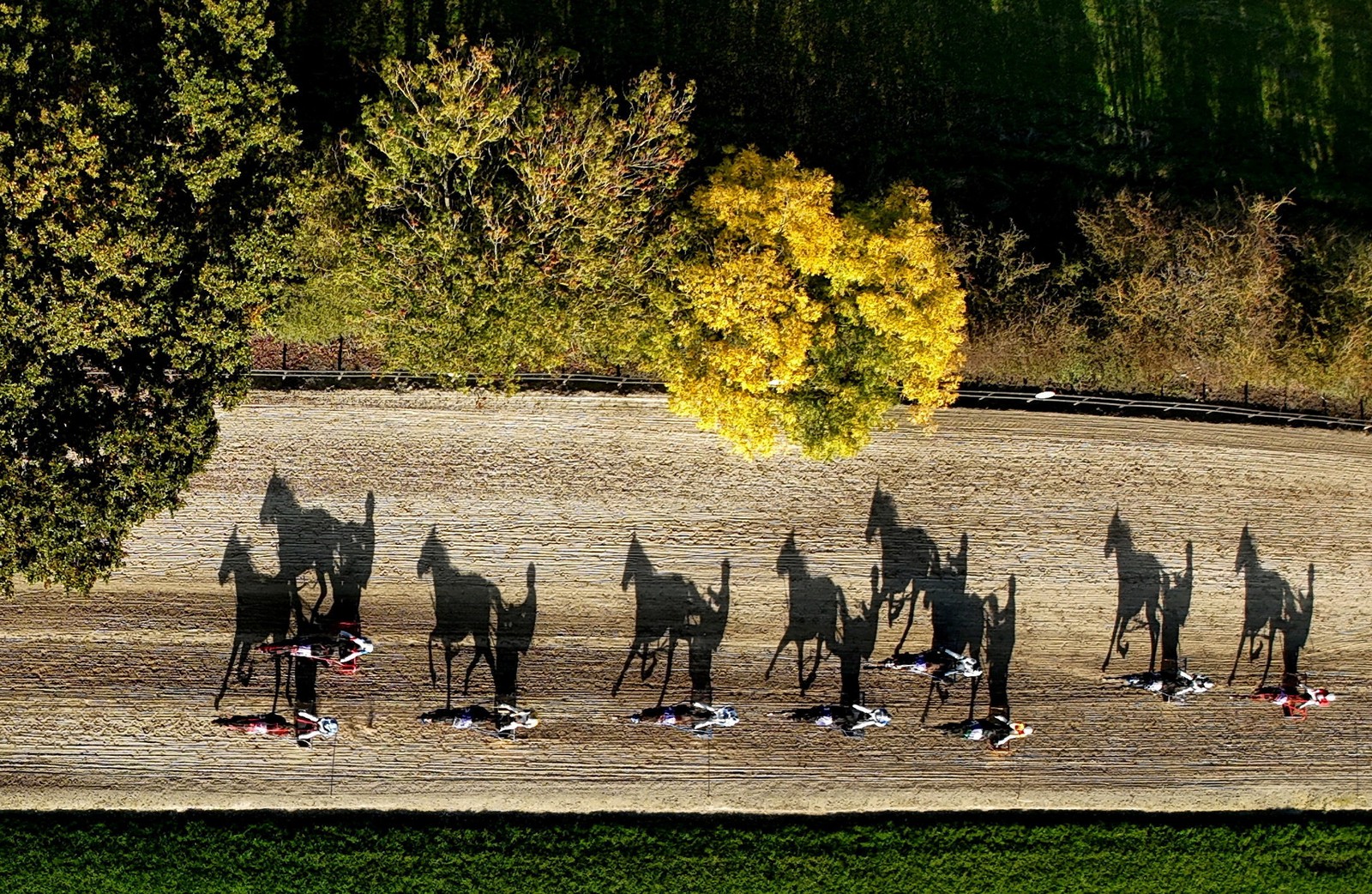 An aerial view of jockeys riding small carts behind horses on a track, casting long shadows