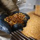 Hands hold a pile of dried corn as more corn pours out of a funnel behind them.