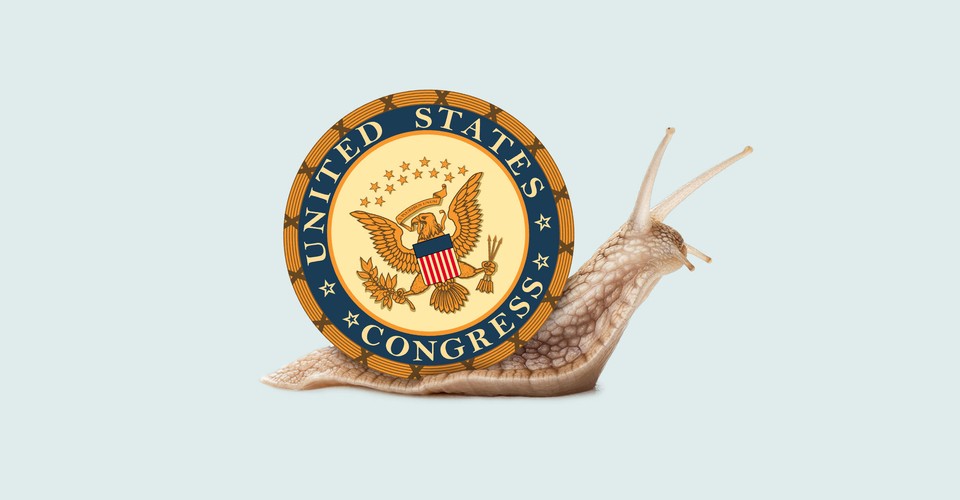 The Government Needs to Move Much, Much Faster