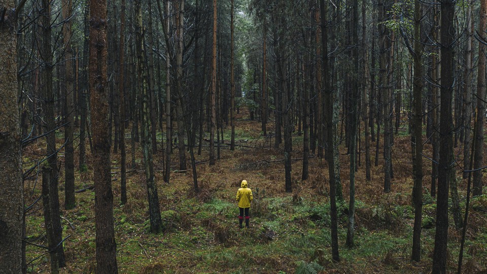 A person in the woods