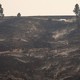 Charred and barren land in the aftermath of a wildfire