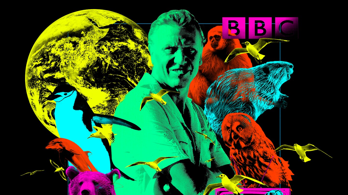 A stylized, green tinted image of David Attenborough, stylized among other neon-colored animals, including an owl, dolphin, and bear. There is a neon yellow Earth in the top left corner, and a neon purple BBC logo in the top right corner.