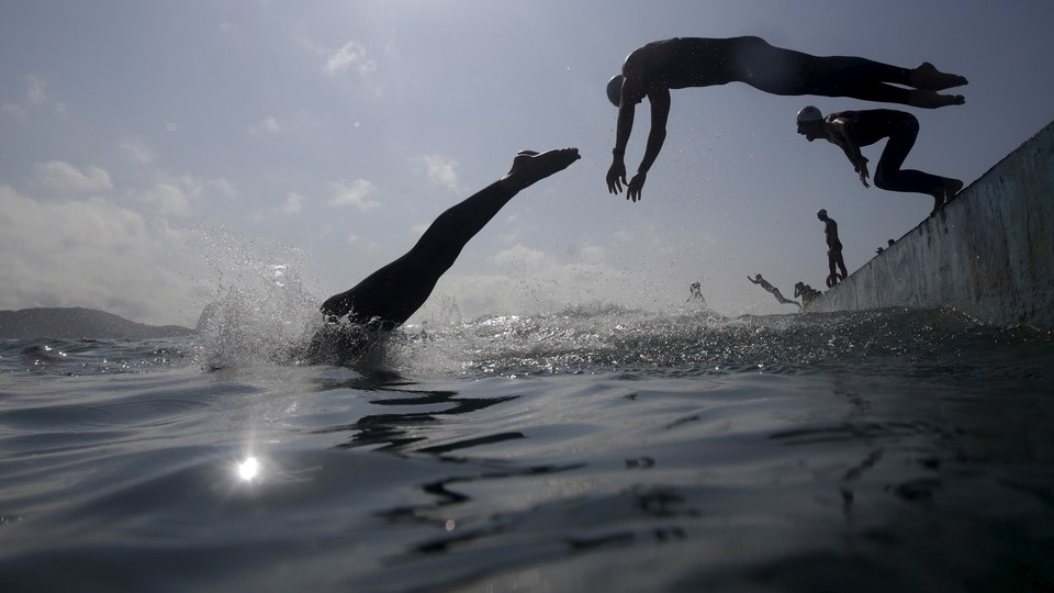 Photos: Thick Green Algae Chokes Beach—Swimmers Dive In