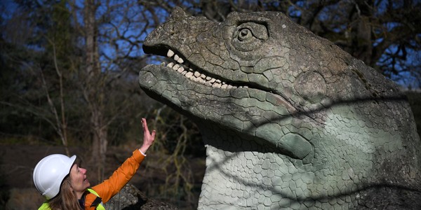 A person wearing a hard hat reaches up toward a sculpture of a dinosaur.
