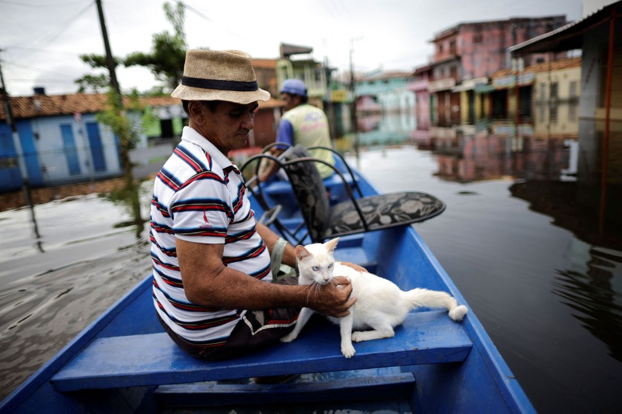 Two people sit in a small boat floating on a flooded street. One of them holds a white cat beside him.