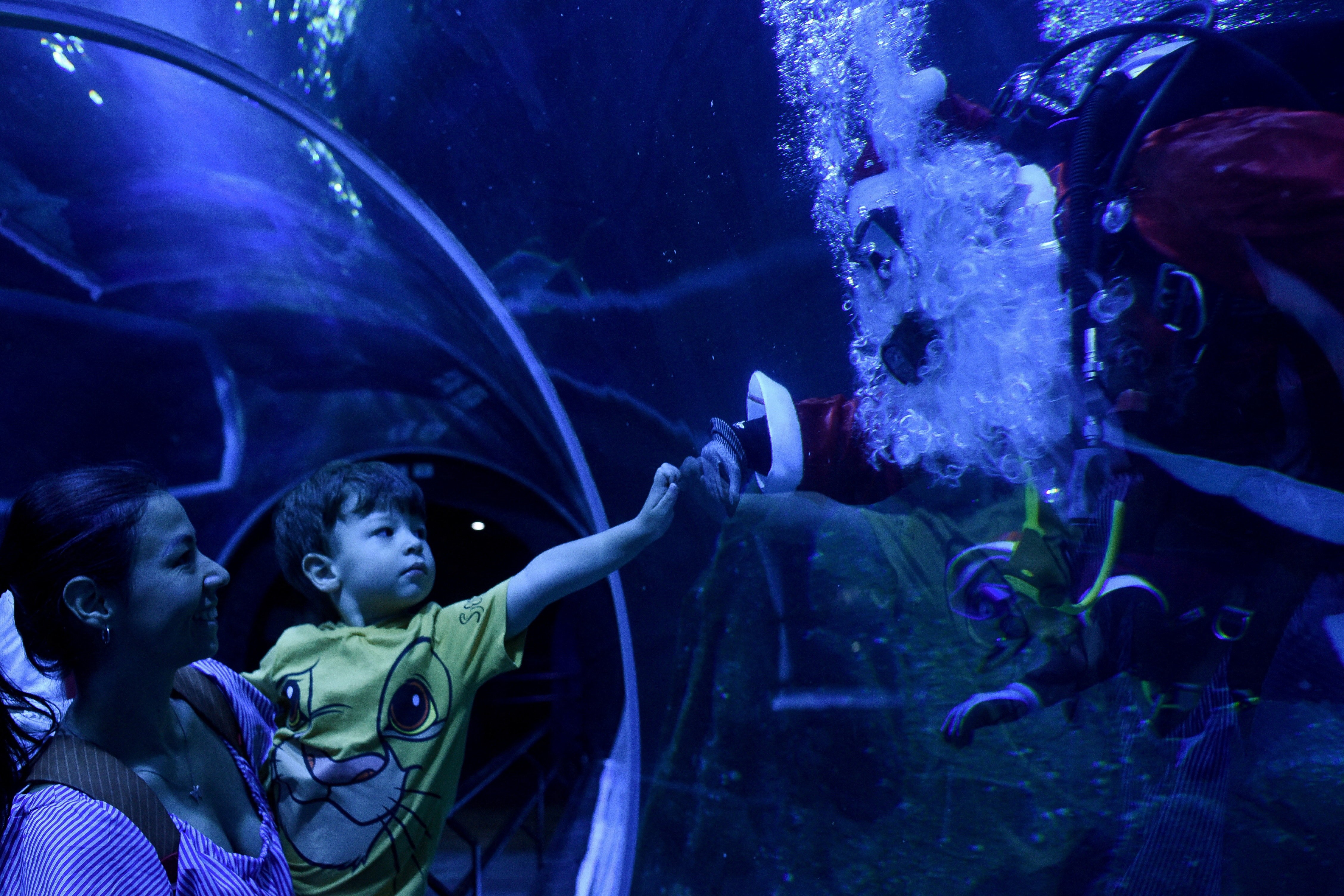 A child touches the glass of a large aquarium, as he looks at at a person dressed as Santa Claus who is scuba diving on the other side of the glass.
