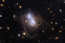 Many small galaxies are scattered on a black background. The image is dominated by an irregular galaxy with a bright central region of white and blue stars appear as two distinct lobes, surrounded by brown dusty filaments.