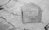 A metal cage sits on cracked, dry ground