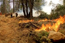 Firefighters battle the Ferguson Fire in California, on August 8, 2018