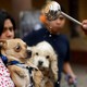 A person holds a small dog as it reacts while a priest drips holy water nearby.