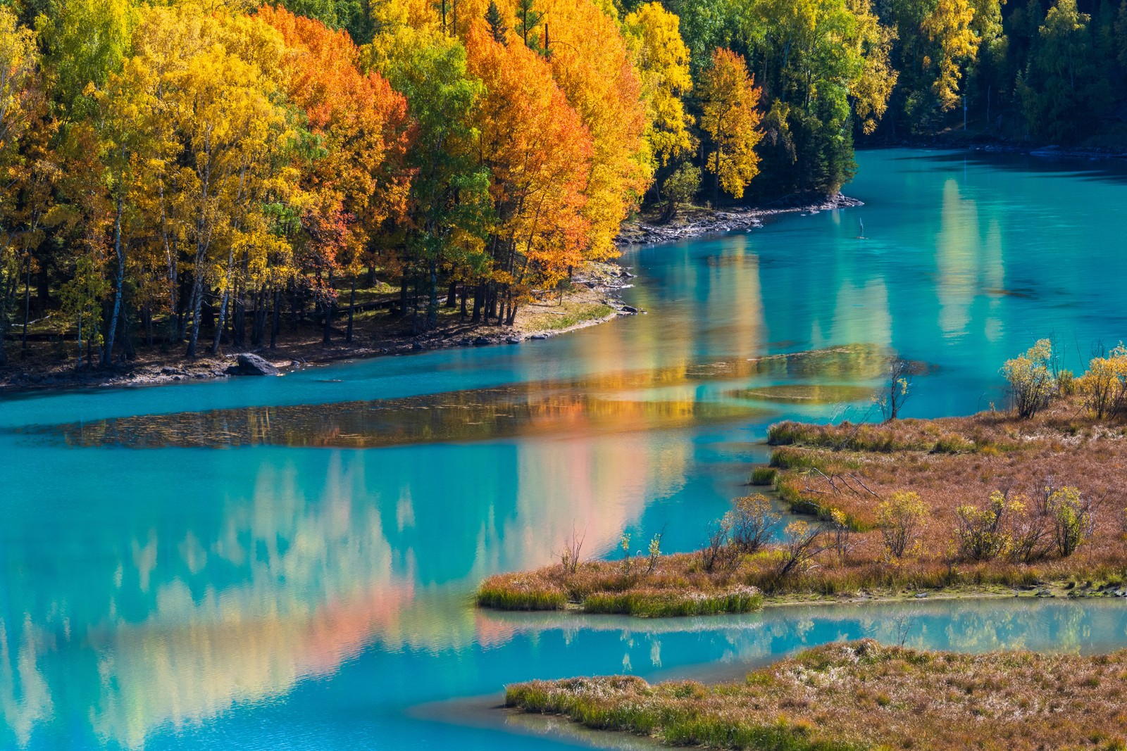 Autumn-colored leaves on trees beside a blue-green bay of water