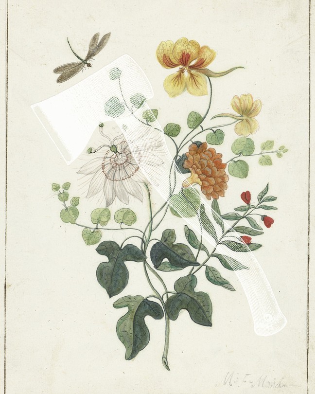 The white outline of an axe layered on top of a sparse, illustrated bouquet of yellow, white, orange, and red flowers, with a dragonfly on the top left corner