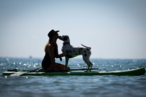 A woman kneels on a surfboard with her dog, which leans in and licks her face.