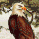 An illustration of a bald eagle perched on a wooden log with the background fading