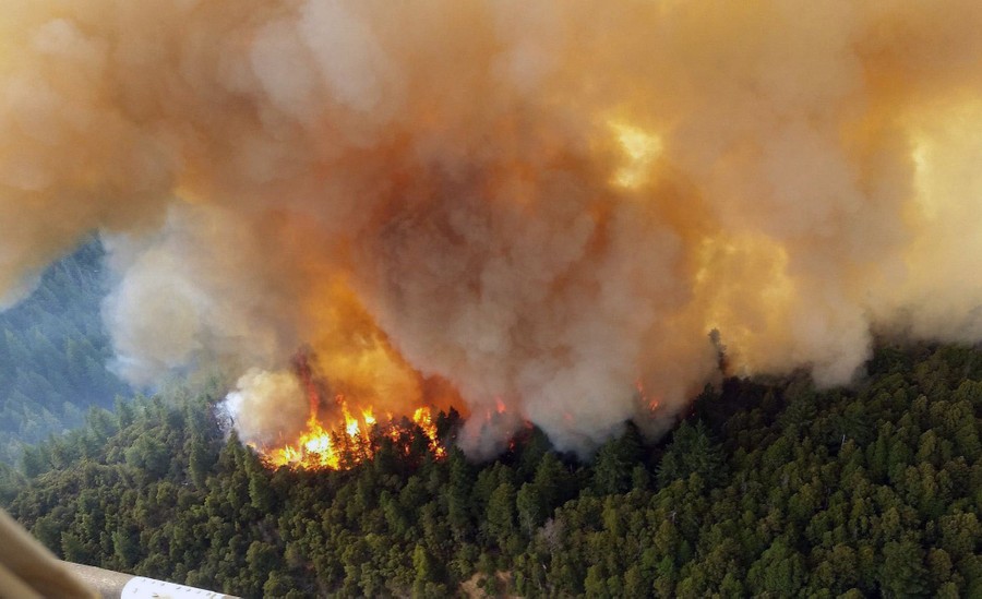 Western Wildfires Have Burned More Than 7 Million Acres This Year The 