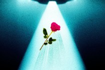 A drawing of a UFO abducting a rose