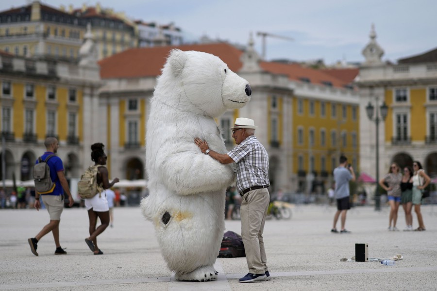 A man places his hand on the chest of someone wearing a polar-bear costume in a city square.
