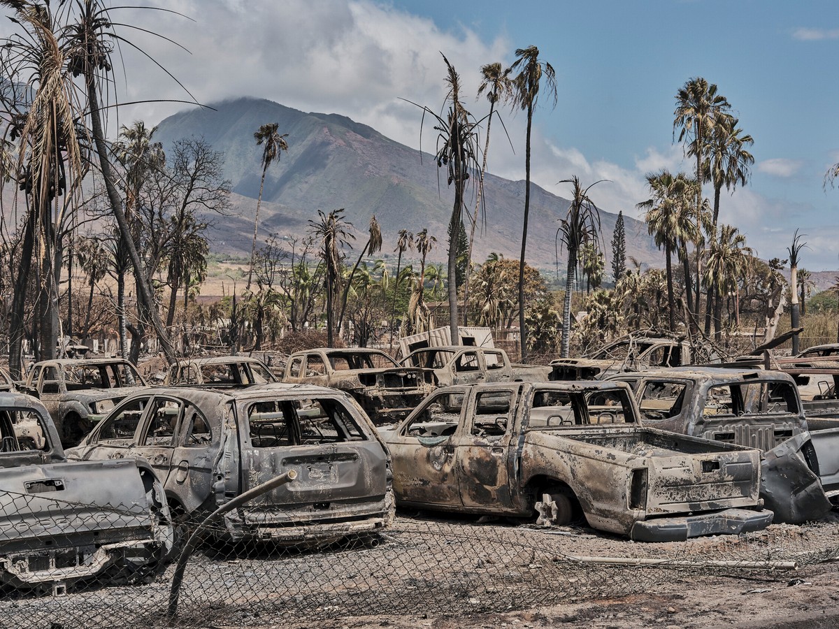 The New Yorker: Why Maui Burned