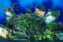 A still life of bags, dirt, and plants