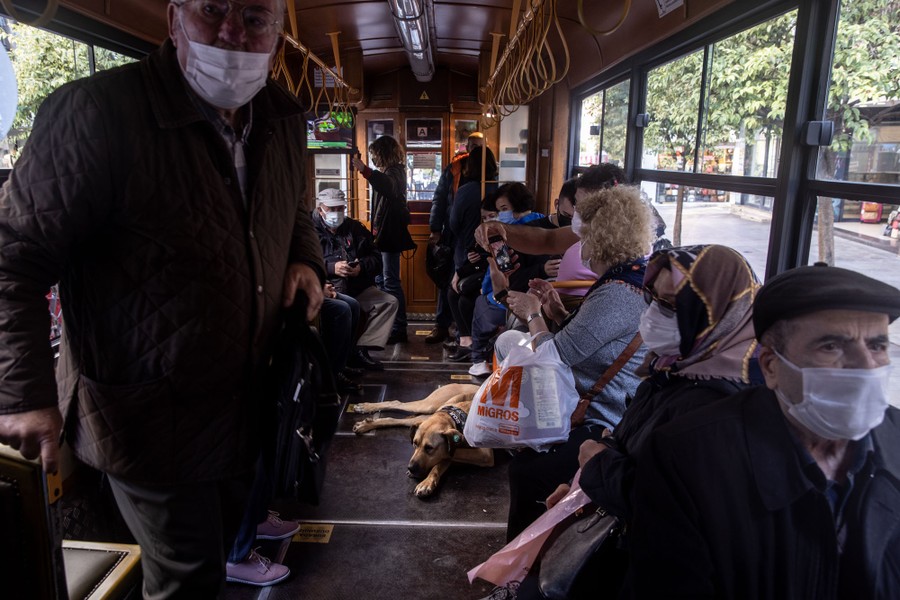 A dog lies on the floor of a tram, surrounded by commuters.