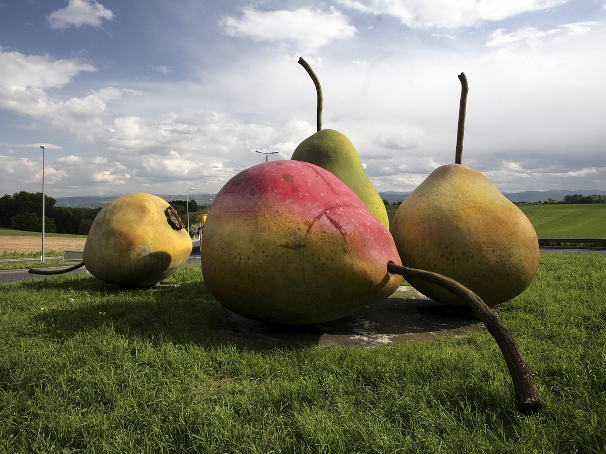 What's the Difference Between Bartlett and D'Anjou Pears? - Eat Like No One  Else