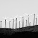 A black-and-white photo of wind turbines along a hillside