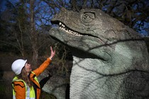 A person wearing a hard hat reaches up toward a sculpture of a dinosaur.