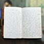A photograph of an old diary with cursive writing on top of a blurred photo of a woman sitting in a house