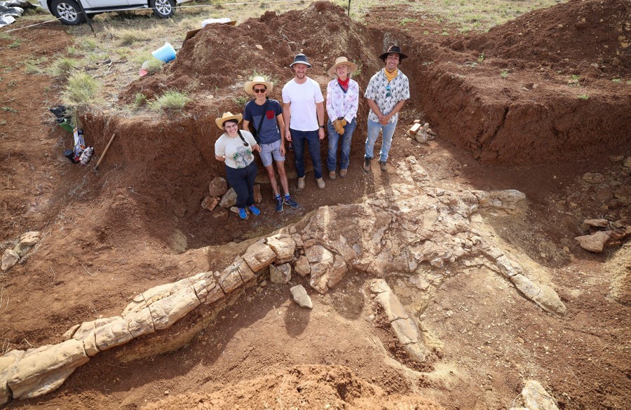 Five people stand in an excavation site, beside a huge recently unearthed fossil.