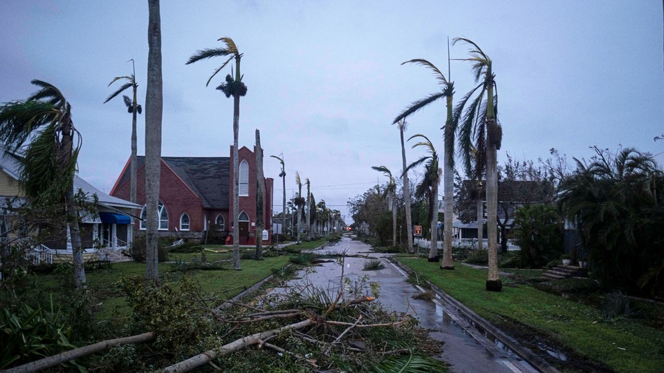 An image of fallen trees in the aftermath of Hurricane Ian.