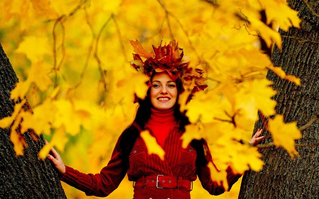 Fall Is In The Air Images Of The Season The Atlantic