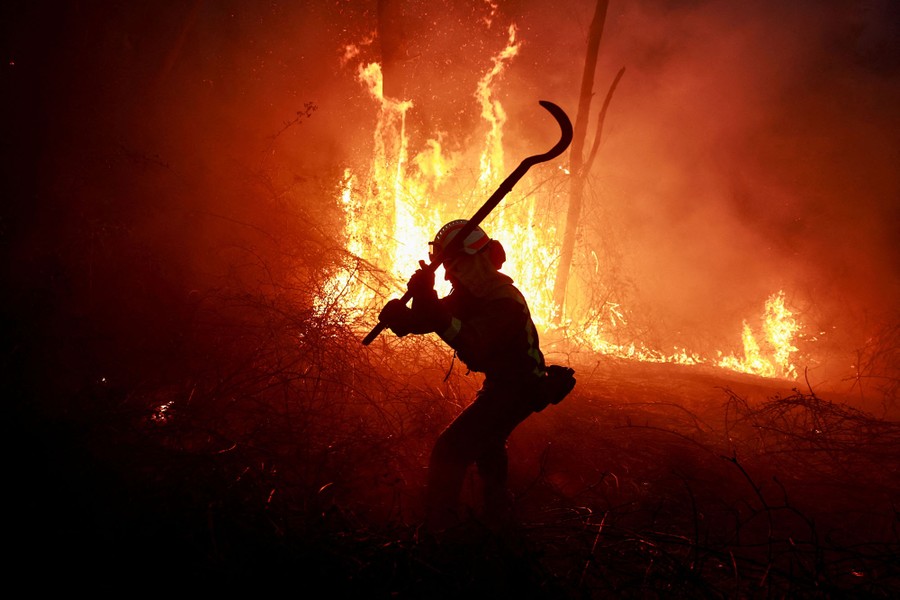 A firefighter with a long-handled sickle hacks at brush beside a forest fire.
