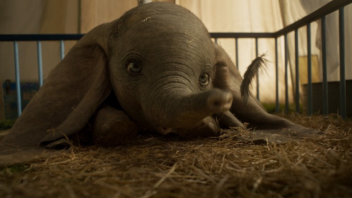 Tim Burton S Dumbo Remake For Disney Soars Review The Atlantic