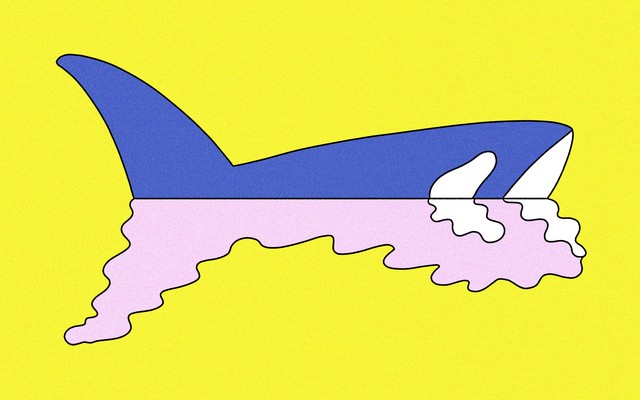 illustration of an orca