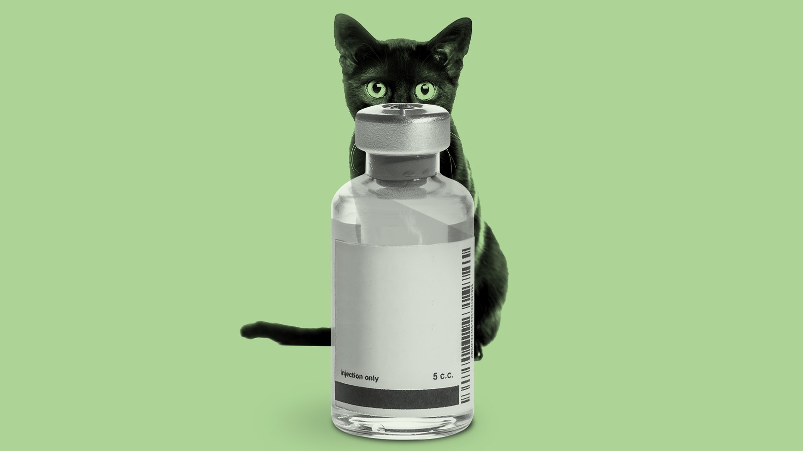 The Strange Tale Of Remdesivir And A Black Market Cat Drug The Atlantic