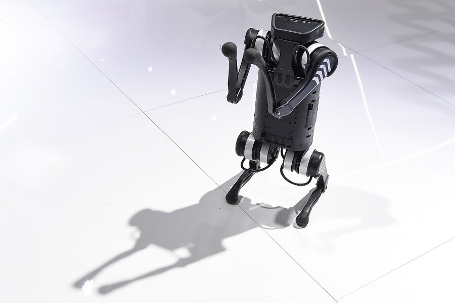 A small robot dog stands on its hind legs.
