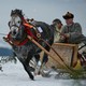 Two people ride in a small sleigh being pulled through snow by a running horse.
