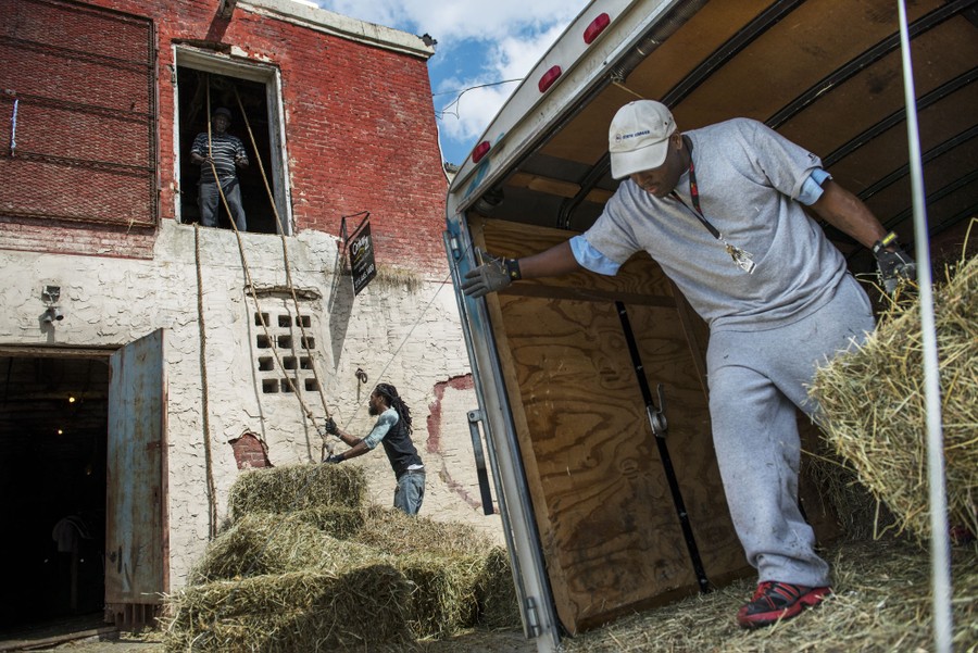 Eddie Montgomery, 42, Jamil Prattis, 25 and the stable manager Eward E. Ward, 66, work together to unload a trailer of hay to stack in the stable's attic on Saturday, September 20, 2014. 