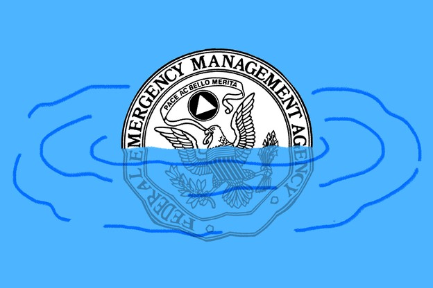 The FEMA logo drowning