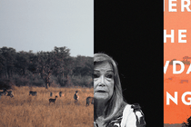 A photo collage