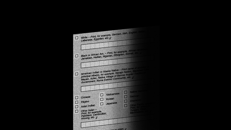 Illustration of a blurry census form fading into a black background