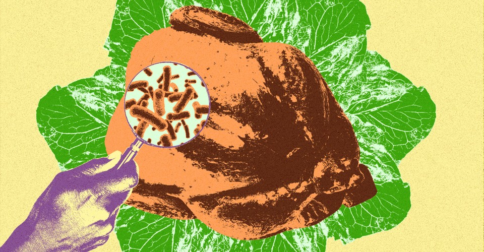 Thanksgiving Dinner How To Not Be Poisoned The Atlantic