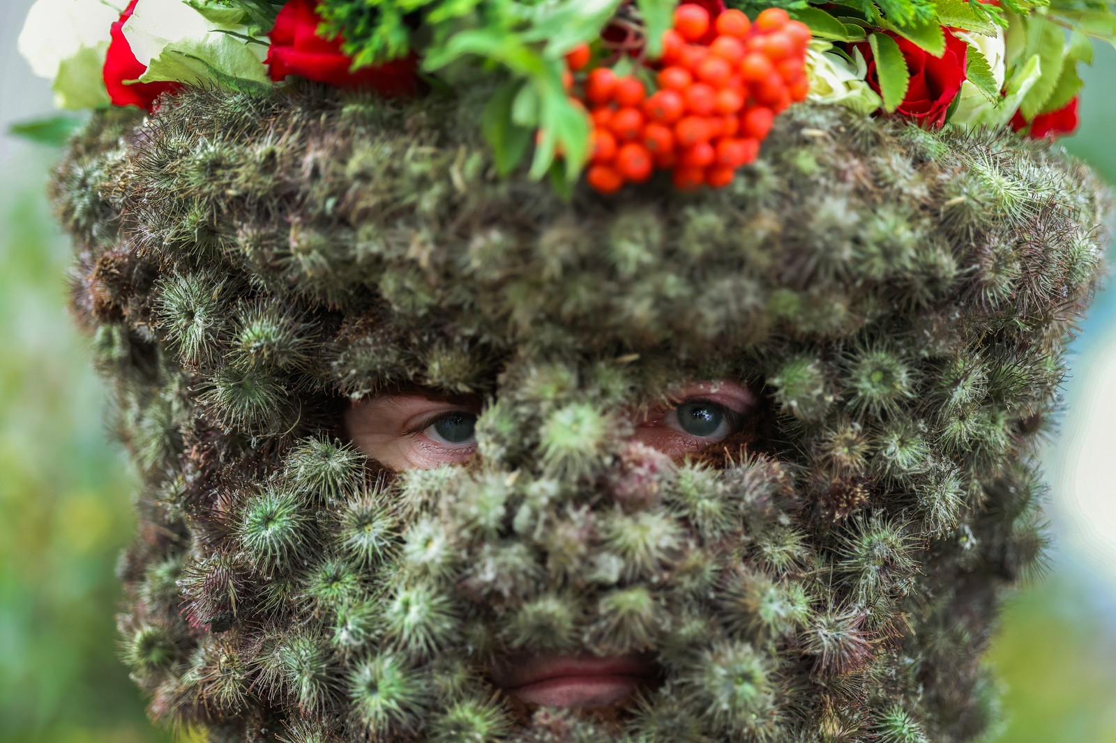 A man wearing a traditional costume and mask, covered entirely in burrs