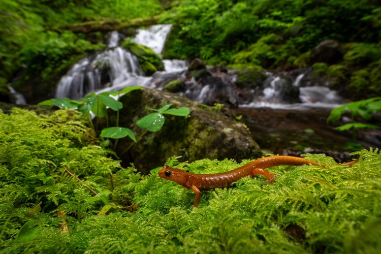 Winners of the 2025 Natural Landscape Photography Awards - The Atlantic