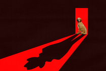 An illustration of a dog in a doorway casting a shadow