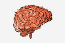 Ilustración de un cerebro con crestas dentadas y puntiagudas.