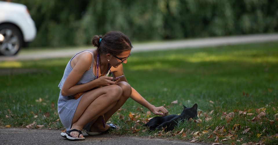 Moxie The Cat Kenyon College S Campus Pet The Atlantic