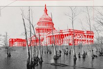 Photograph of a swamp superimposed with a red drawing of the Capitol building.