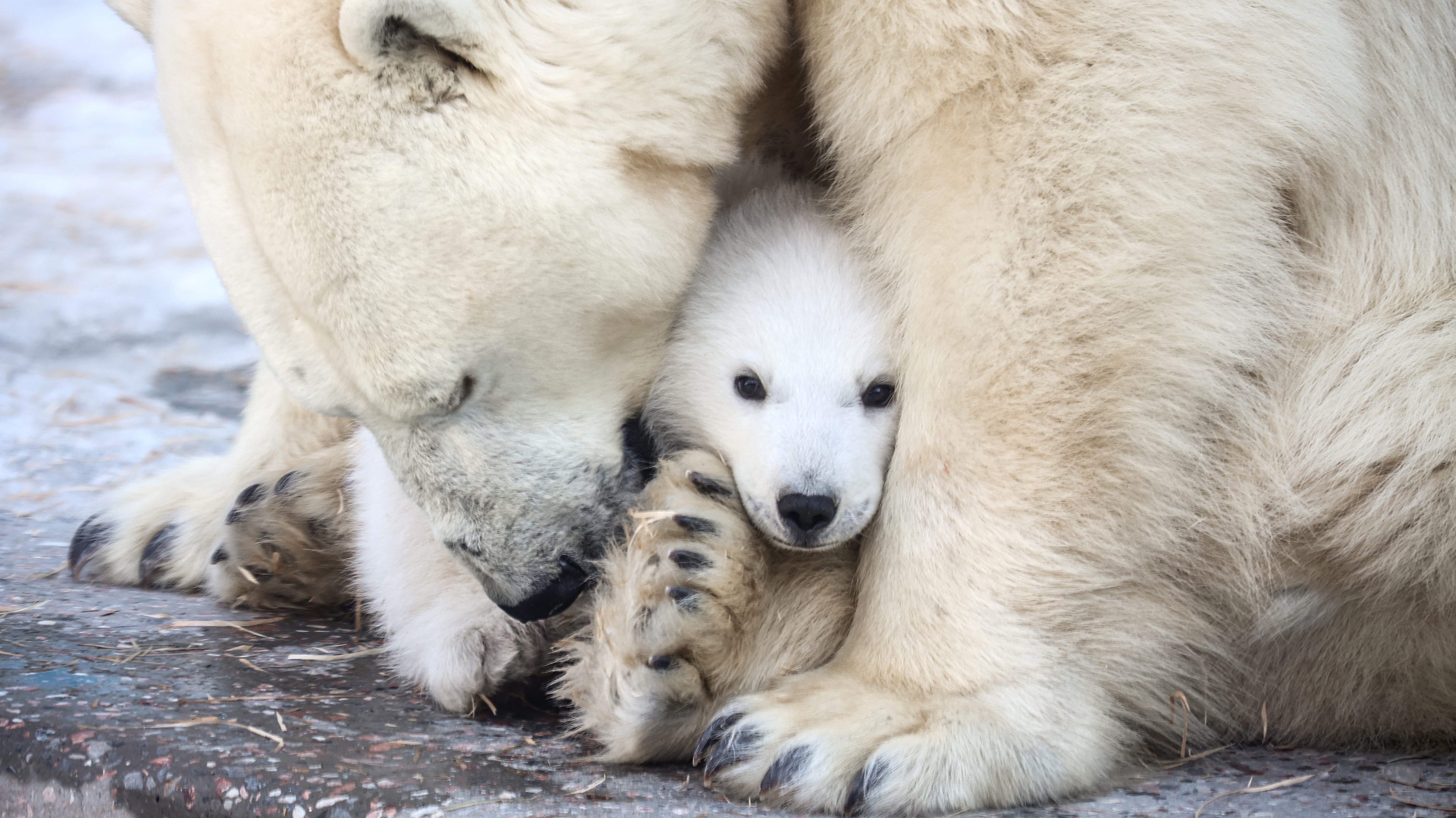 Thumbnail for Photos of the Week: Holy Week, ‘No Kings,’ Guitar Farm